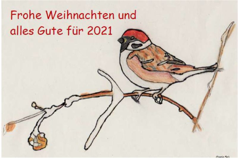 Frohe Weihnachten und alles erdenklich Gute für 2021! Bleiben Sie gesund!